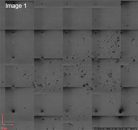 Image 1 - Tiled SEM images of randomly placed MoS2 flakes