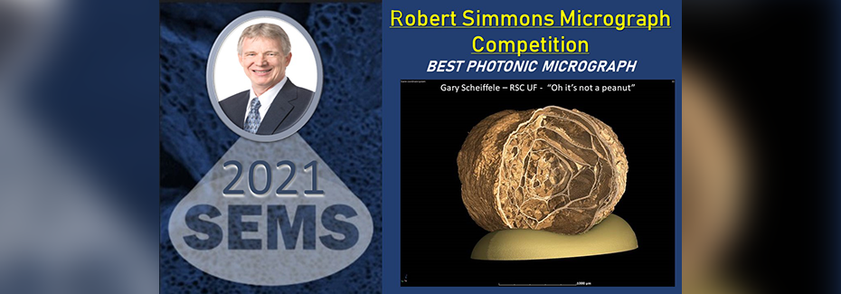 SEMS 2021 - Robert Simmons Micrograph Competition - Best Photonic Micrograph - Gary Scheiffele - RSC UF - Title: Oh it's not a peanut